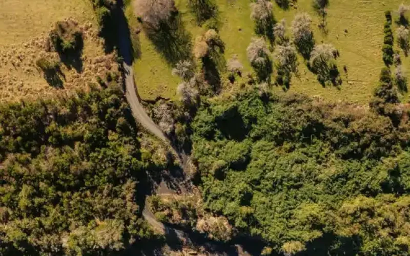 Captura-de-Pantalla-2024-03-24-a-las-18.37.34