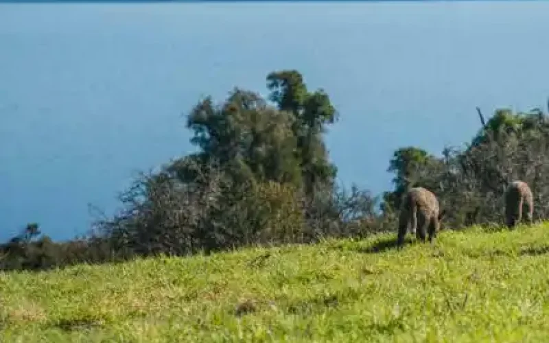 Captura-de-Pantalla-2024-03-24-a-las-18.37.55