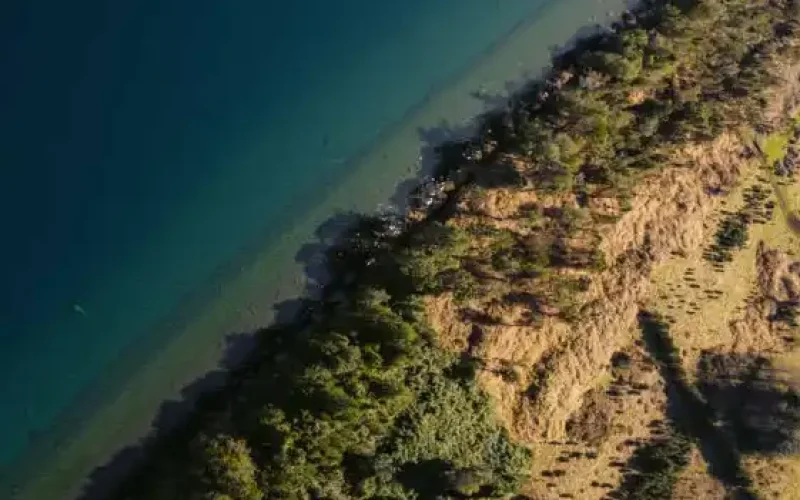 Captura-de-Pantalla-2024-03-24-a-las-18.38.52