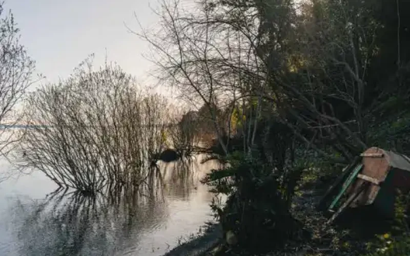 Captura-de-Pantalla-2024-03-24-a-las-18.39.10