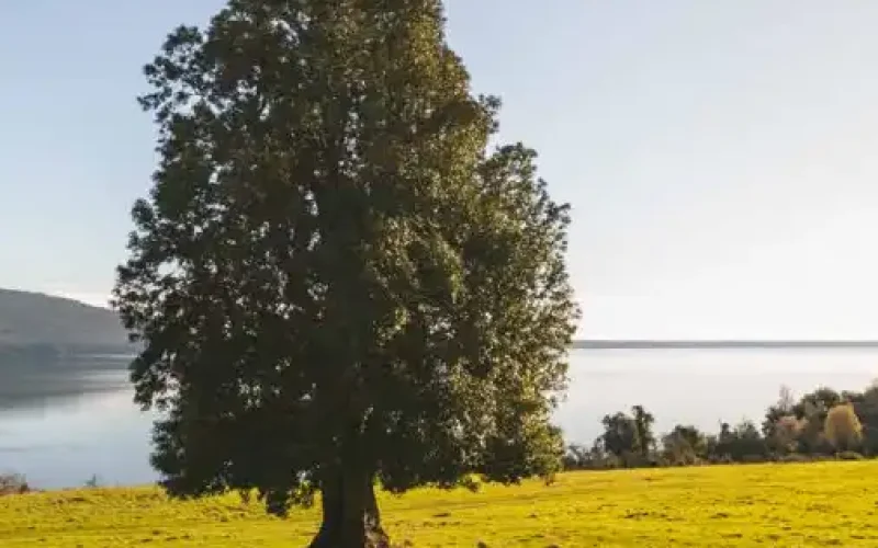 Captura-de-Pantalla-2024-03-24-a-las-18.41.07