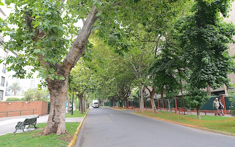 D_637096-MLC103745602935_012026-F