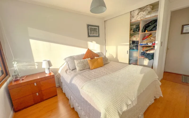 D_845997-MLC103745603831_012026-F