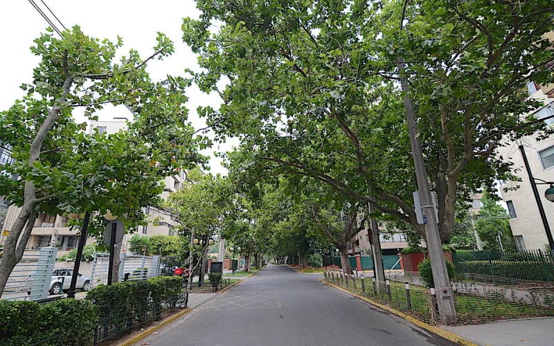 D_982128-MLC103229561218_012026-F