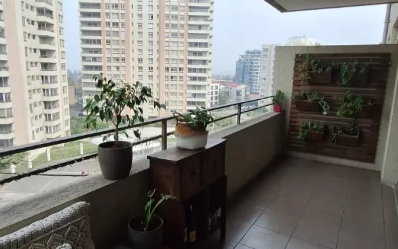 D_NQ_NP_2X_972203-MLC78392537660_082024-F