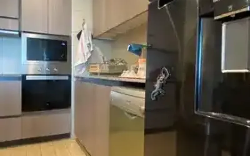 D_NQ_NP_611484-MLC75831344414_042024-O-1