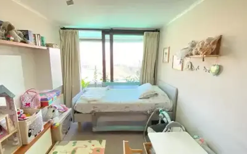 D_NQ_NP_614043-MLC76004054909_042024-O-1