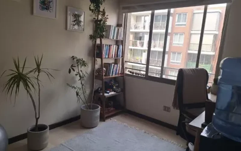 D_NQ_NP_615677-MLC78536891683_082024-O