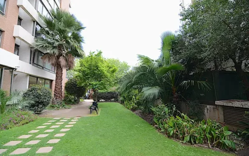 D_NQ_NP_653967-MLC79767731914_102024-O