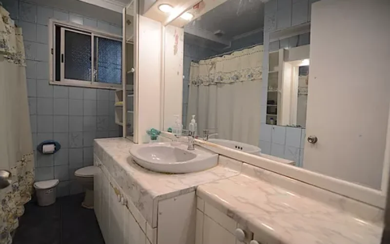 D_NQ_NP_690978-MLC80143556425_102024-O