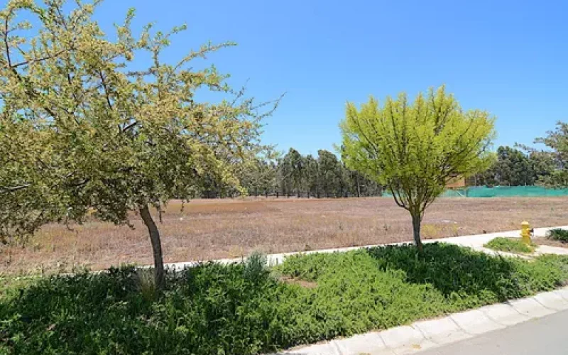 D_NQ_NP_694358-MLC81333773771_122024-O