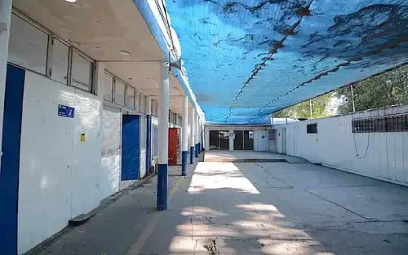 D_NQ_NP_696336-MLC76622422499_052024-O-1