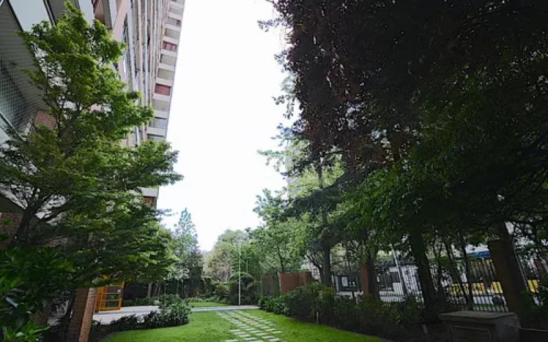 D_NQ_NP_702678-MLC80018734551_102024-O