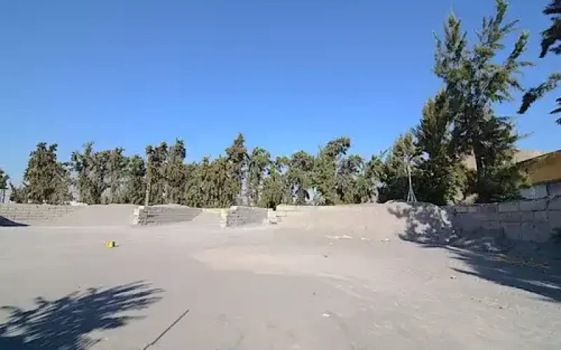 D_NQ_NP_706296-MLC76427656352_052024-O-1