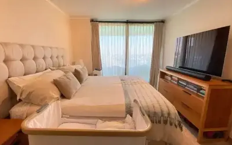 D_NQ_NP_716418-MLC75831956314_042024-O-1