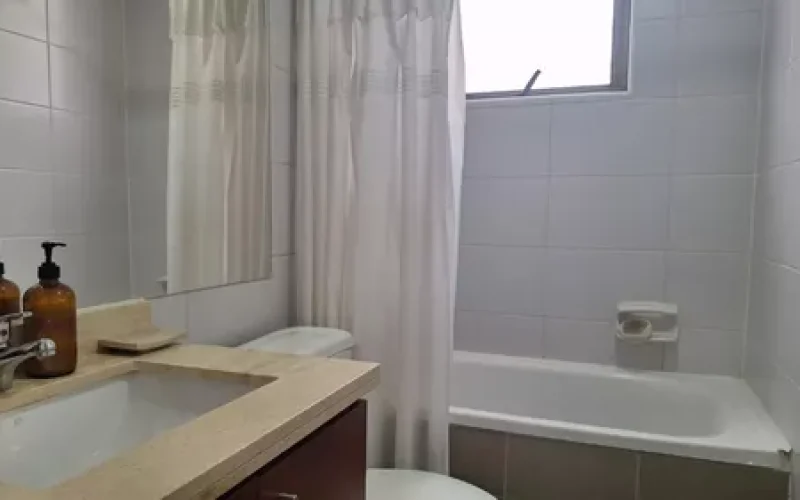 D_NQ_NP_736884-MLC78536891685_082024-O