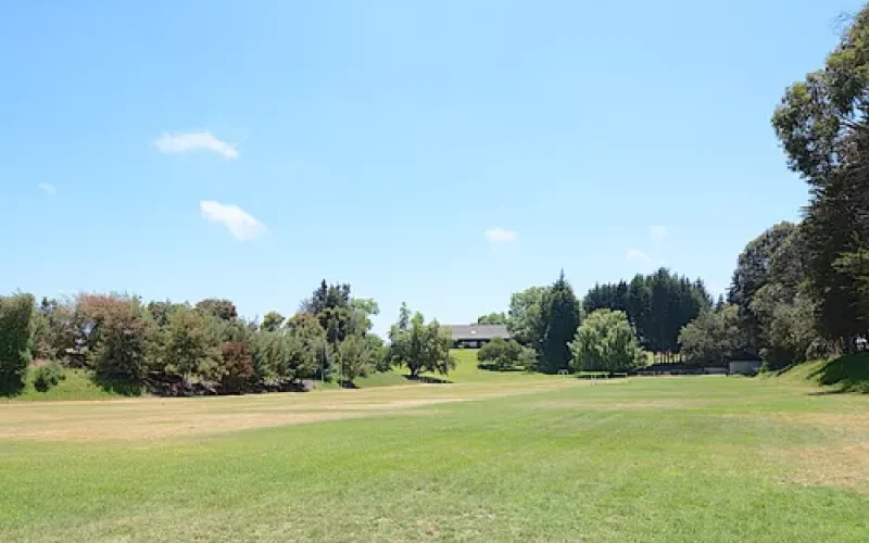 D_NQ_NP_750516-MLC81334384975_122024-O