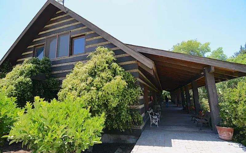 D_NQ_NP_755169-MLC81066807630_122024-O