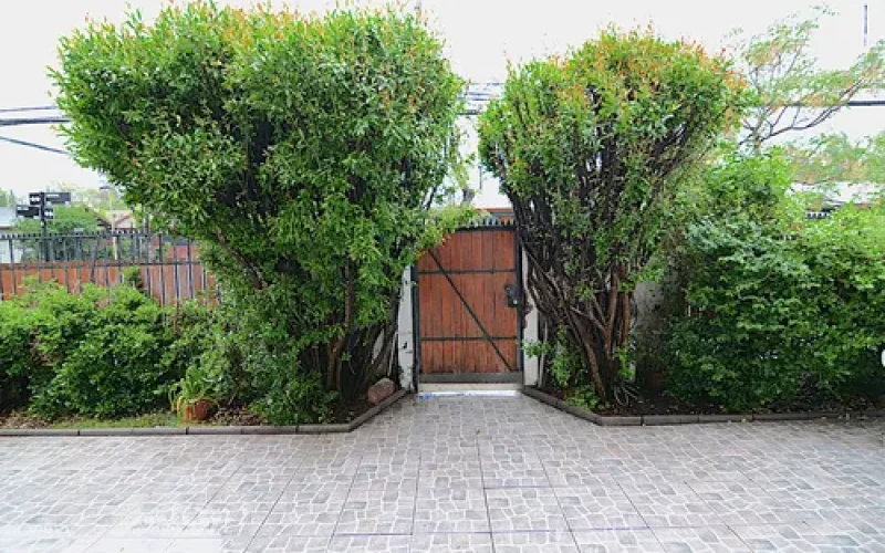 D_NQ_NP_767480-MLC80143357833_102024-O