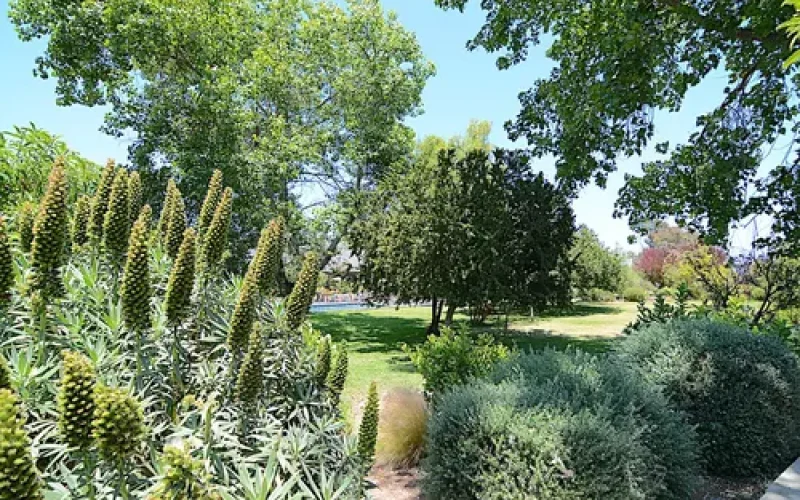 D_NQ_NP_770941-MLC81066807716_122024-O