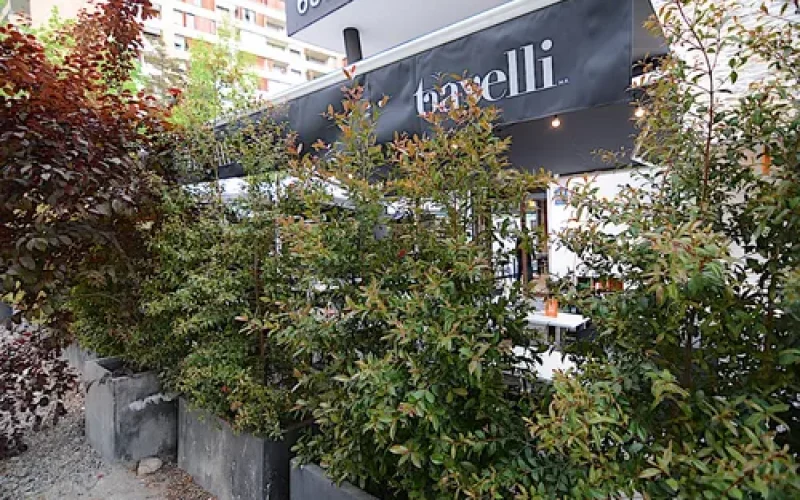 D_NQ_NP_783021-MLC80019247383_102024-O