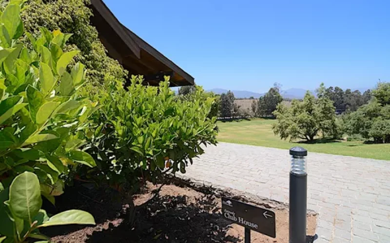 D_NQ_NP_784203-MLC81333773767_122024-O