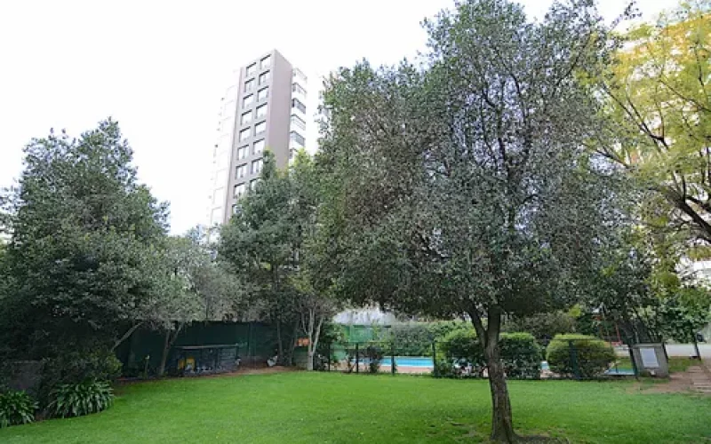 D_NQ_NP_787977-MLC79767781524_102024-O