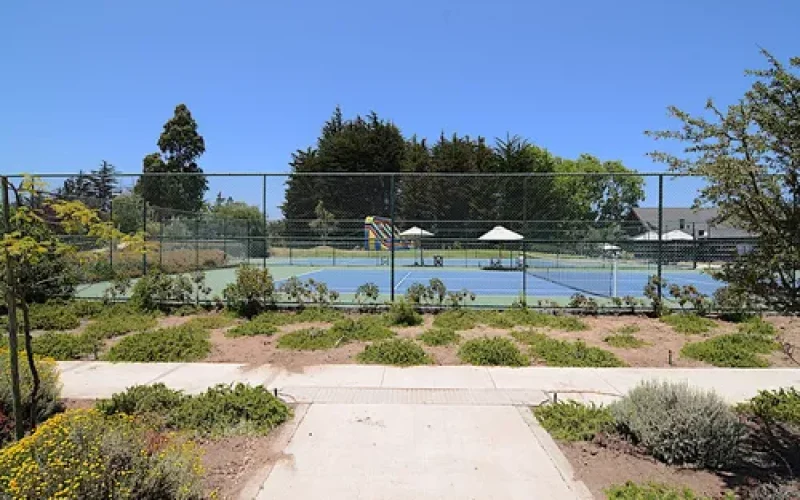 D_NQ_NP_804657-MLC81334384977_122024-O