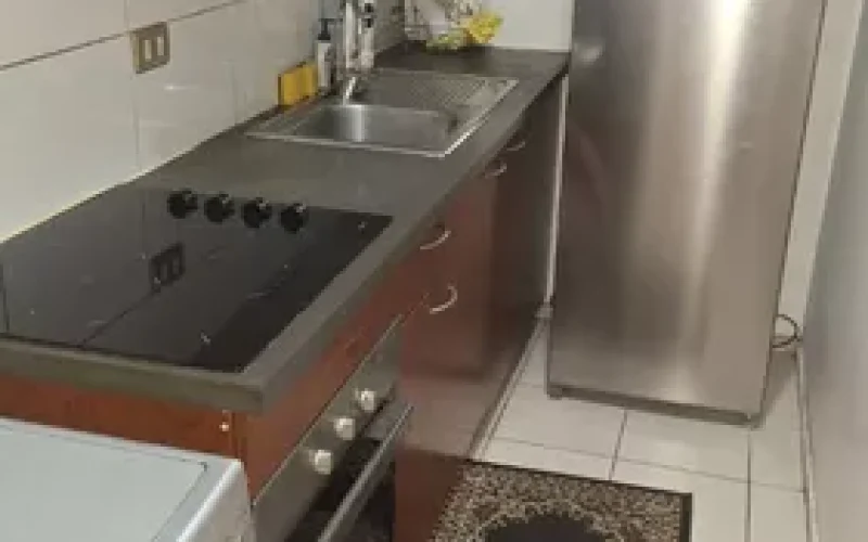 D_NQ_NP_822229-MLC78535474191_082024-O