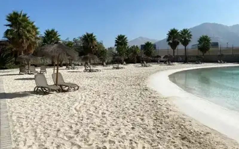 D_NQ_NP_832148-MLC75832035620_042024-O-1