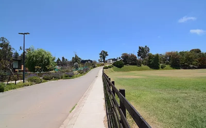 D_NQ_NP_836592-MLC81333882465_122024-O