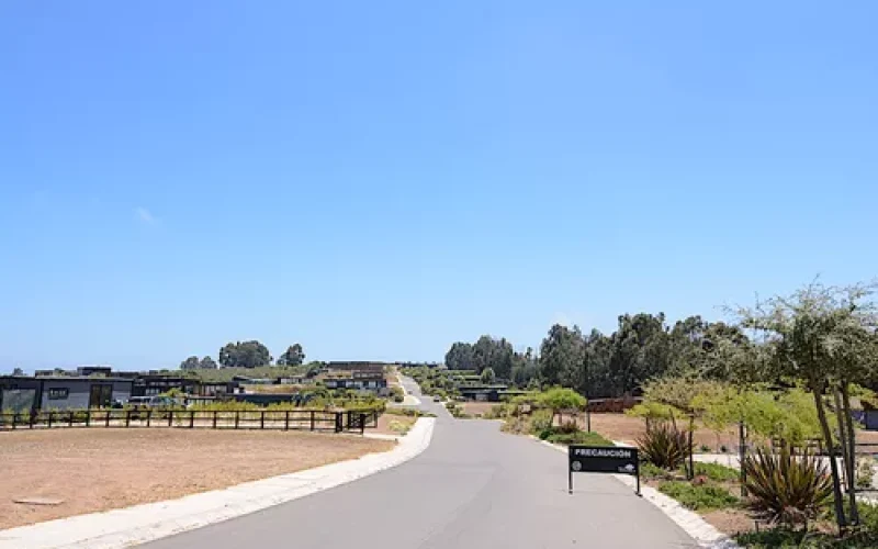 D_NQ_NP_843131-MLC81066680126_122024-O