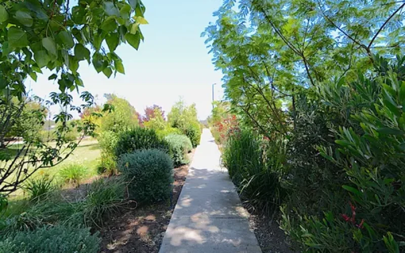 D_NQ_NP_845256-MLC81066846990_122024-O