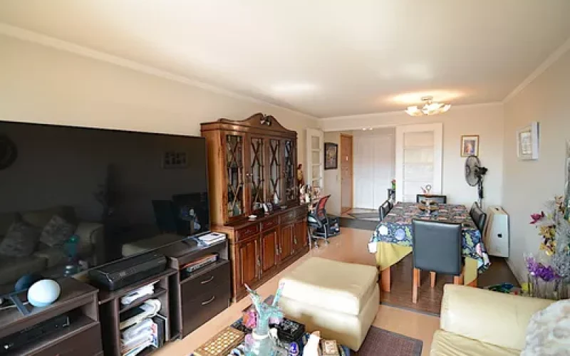 D_NQ_NP_848966-MLC80019048721_102024-O