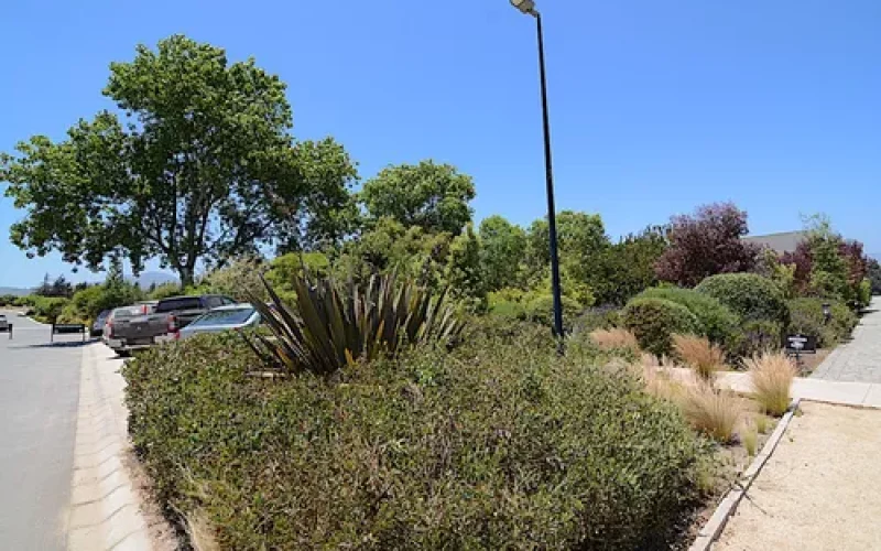 D_NQ_NP_868597-MLC81334000717_122024-O