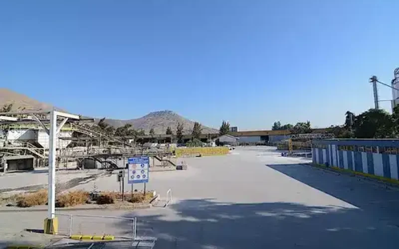 D_NQ_NP_884239-MLC76622452259_052024-O-1