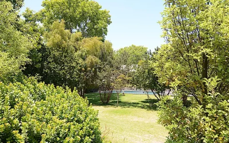 D_NQ_NP_917561-MLC81334188369_122024-O