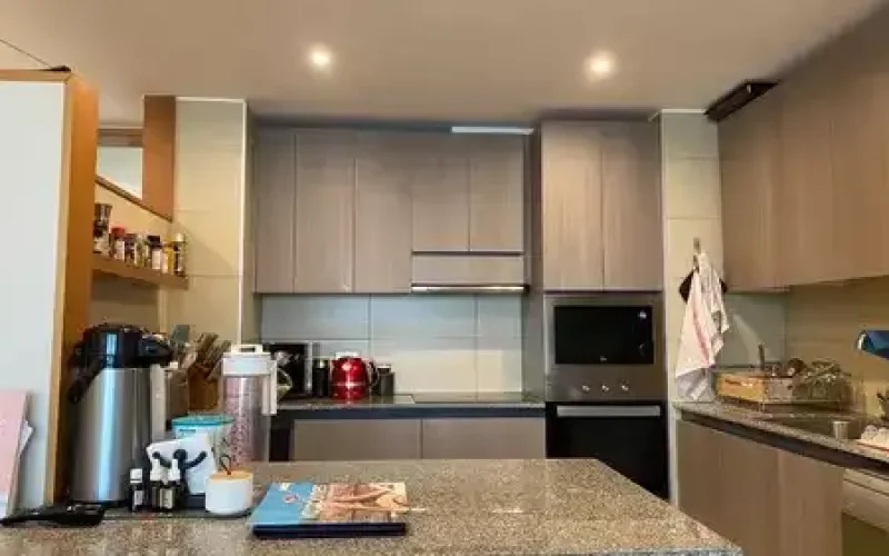 D_NQ_NP_955029-MLC75831473434_042024-O-1