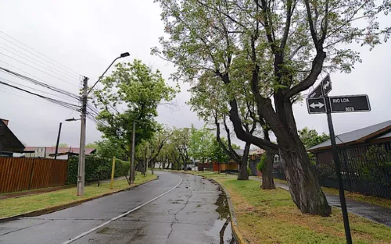 D_NQ_NP_958976-MLC79889764056_102024-O