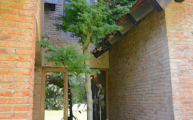 Rincon-jardin-con-arbol