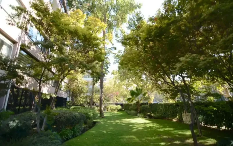 depto-para-remodelar-17